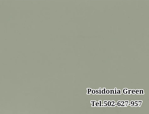 Konglomerat Posidonia Green / kwarcogranit / konglomerat kwarcowy Silestone / Merkam