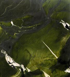 Avocatus kwarcyt naturalny